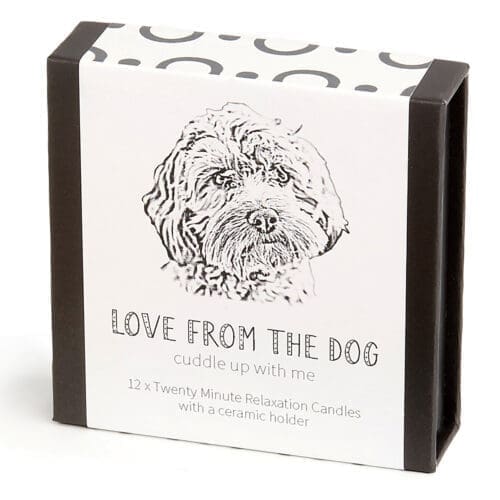 Cockapoo