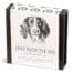 Springer Spaniel